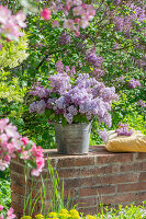 Blumenstrauß aus Fliederblüten (Syringa Vulgaris) im Eimer auf Gartenmauer neben Obstblüten, Zierapfelblüten