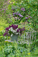 Fliederstrauss (Syringa Vulgaris) in Kübel auf Gartenbank in eingewachsenem Garten