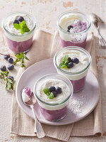 Chiapudding mit Blaubeeren