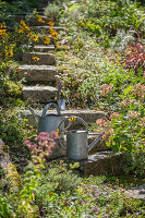 Steps in the garden with tin watering cans in front of flower beds