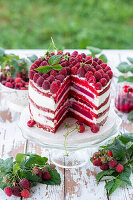 Red velevt raspberry cake with raspberry jelly and raspberry jam