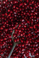 Pomegranate seeds (picture-filling)