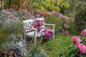 Sitzplatz mit Strauss aus Dahlien (Dahlia), Rosen (Rosa), Astern (Aster) auf Bank vor bunten Blumenbeeten