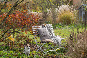 Seat in autumn garden with dog