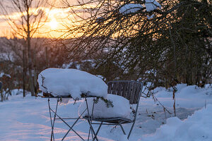 Winter atmosphere in the garden at sunset