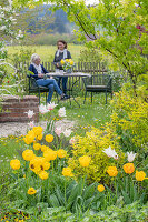 Beet mit Tulpe (Tulipa) 'Marilyn' und 'Strong Gold' vor Frauen an Gartentisch