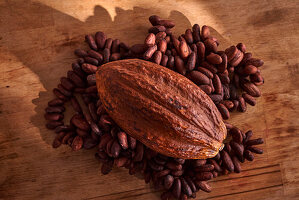 Cocoa fruit and cocoa beans on a wooden base