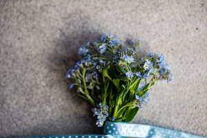 Vergissmeinnicht (Myosotis) - Blumenstrauß mit blau-gepunktetem Band