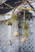 Upcycling Meisenknödelhalter aus einem Metall-Abfluss-Sieb hängen im Garten an einem Baum (im Hintergrund unscharf