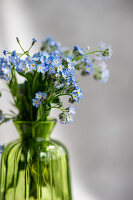 Forget-me-not (Myosotis) in green glass vase on old book