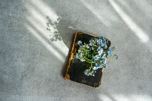 Forget-me-not (Myosotis) in green glass vase on old book