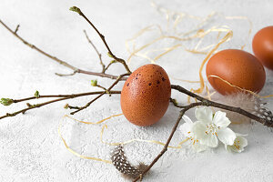 Still-life of three brown chicken eggs and a twig on a whote surface.