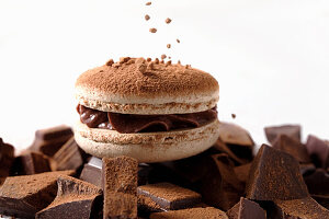 A single macaron, filled with chocolate cream, placed on broken pieces of dark chocolate and sprinkled with cocoa powder.