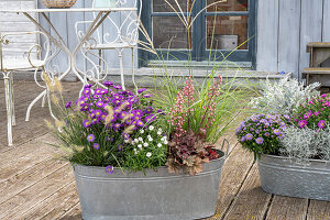 Stacheldraht, Aster, Silberblatt 'Winter Whisper', Lampenputzergras, Purpurglöckchen, Chinaschilf, Bertrams-Garbe 'Diadem' in Zinkwanne auf der Terrasse