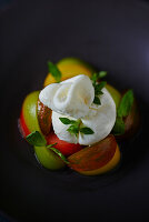 Burrata with colourful tomatoes and basil