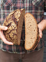 Rye sourdough bread original Franconian loaf
