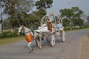 Pakistan, Lahore, ein Mann macht eine Fahrt auf einer kitschigen Pferdekutsche, die von einem weißen Pferd gezogen wird