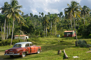 Kuba,Baracoa,ein alter Chevrolet aus den 50er Jahren