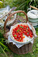 Tomatentarte mit Basilikum fürs Picknick