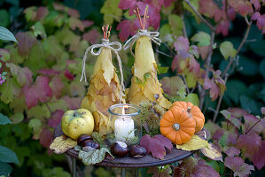 Herbstliche Dekoration mit Kürbissen, Kastanien und Quitte im Garten