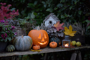 Pumpkin with candle and lantern on plant table in the garden