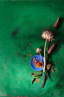 Gewürze, Zitronen und getrocknete Blüten