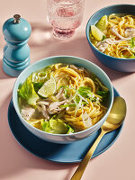 Chicken soup with noodles and spring vegetables