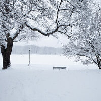 Mit Schnee bedeckte Bank und kahle Bäume im Prospect Park in Brooklyn