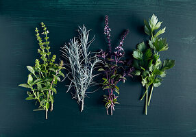 Fresh herbs: basil, rosemary, curry herb, celery