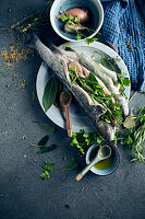 Raw trout with herbs and spices