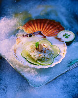 Coquille Saint-Jacques - Tatar von Jakobsmuscheln mit Limette und Koriander