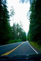 Chinook Pass, Highway 410, a road through forest at dusk.