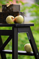 Stillleben mit gelben Äpfeln und Vintage-Metallboxen auf Trittleiter