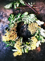 Kräuterkranz aus frischem Beifuß