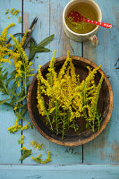 Frische Goldrutenblüten in rustikaler Holzschale