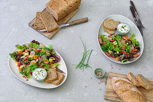 Sommersalat mit Radieschen-Ziegenfrischkäse und Dinkelbrot