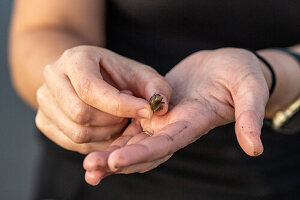 Eine Person steht am Strand von Santa Lucía und hält eine kleine Schnecke