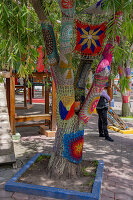 Gehäkelte Dekorationen an einem Bottlebrush-Baum im Äquatorpark in Mitad del Mundo, Ecuador.