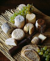 Auswahl von Ziegenkäse mit Brot und Weintrauben auf einer Bambusmatte