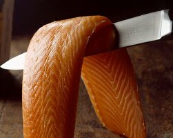 Salmon fillet on knife