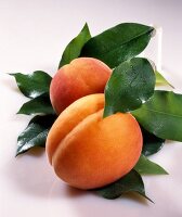 Apricots and leaves