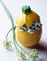 Yellow courgette stuffed with cottage cheese, garlic and spring onion (topic : cottage cheese)