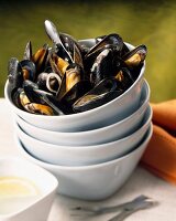 Mussel mouclade