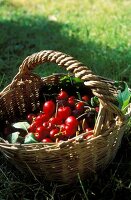 Basket of cherries