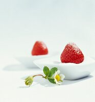 Fresh strawberries in bowls of sugar