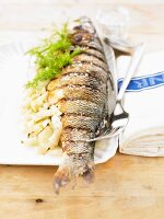 Grilled sea bass with fennel