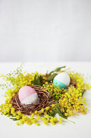 Bemalte Ostereier im Nest mit Mimosen