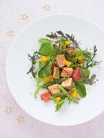 Gemischter Salat mit gewürfelten Lachs-Tataki in Sesamkruste mit Wasabi, Orange und Grapefruit