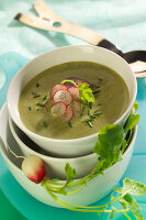 Mangoldcremesuppe mit Radieschen