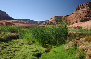 Landscape, Lake Powell, Arizona, Utah, USA